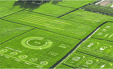 Digital Agriculture